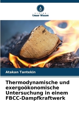 Thermodynamische und exergo&ouml;konomische Untersuchung in einem FBCC-Dampfkraftwerk - Atakan Tantekin