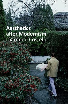 Aesthetics After Modernism - Diarmuid Costello