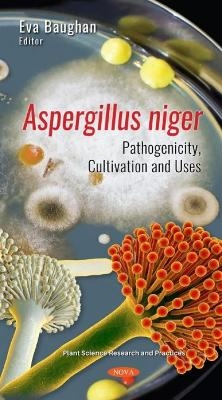 Aspergillus niger - 