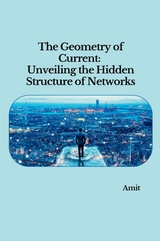 The Geometry of Current: Unveiling the Hidden Structure of Networks -  Amit