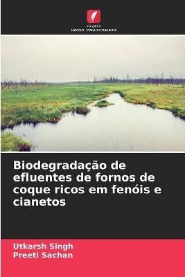 Biodegradação de efluentes de fornos de coque ricos em fenóis e cianetos