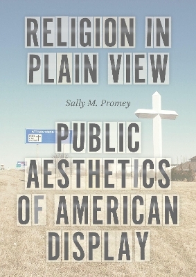 Religion in Plain View - Sally M. Promey