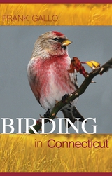 Birding in Connecticut - Frank Gallo