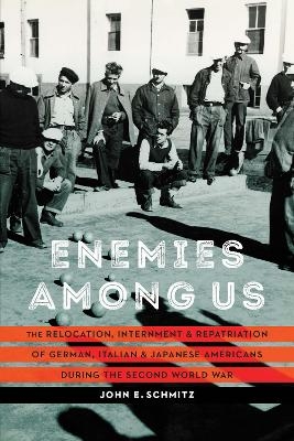 Enemies Among Us - John E. Schmitz