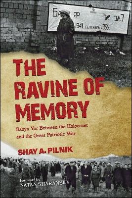 The Ravine of Memory - Shay A. Pilnik