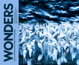 Wonders -  Rhonda Rubinstein