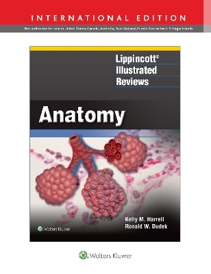 Lippincott® Illustrated Reviews: Anatomy