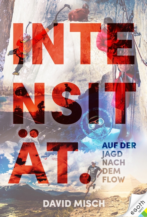 Intensit&auml;t - David Misch