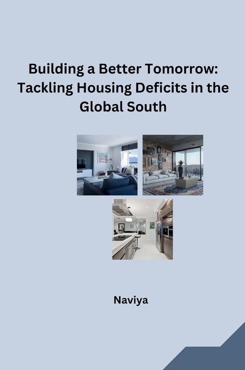 Building a Better Tomorrow: Tackling Housing Deficits in the Global South -  Naviya