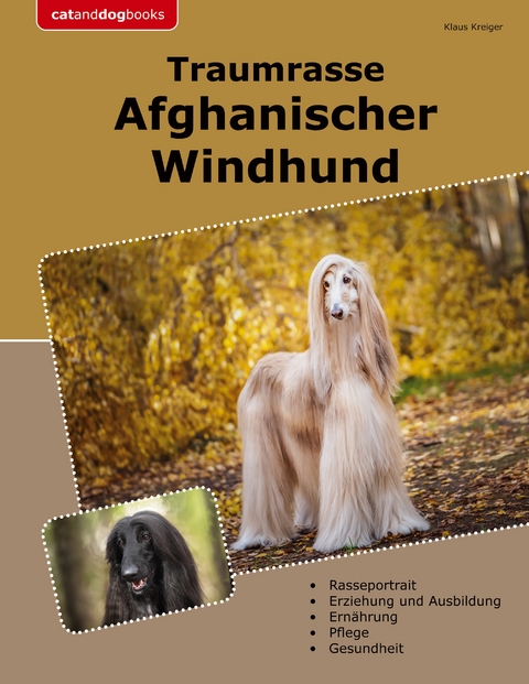 Traumrasse Afghanischer Windhund - Klaus Kreiger