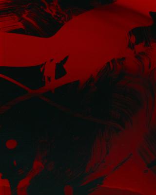 Mirror – Collaborative Pictures by Merrick d'Arcy Irvine x Julia Bajanova