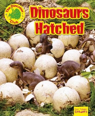 Dinosaurs Hatched! - Ruth Owen