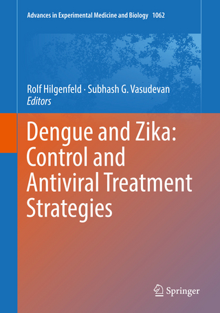 Dengue and Zika: Control and Antiviral Treatment Strategies