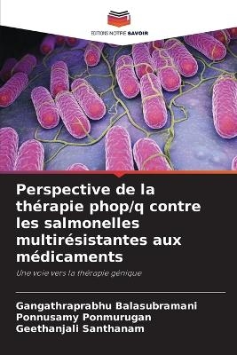 Perspective de la thérapie phop/q contre les salmonelles multirésistantes aux médicaments