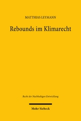 Rebounds im Klimarecht - Matthias Leymann