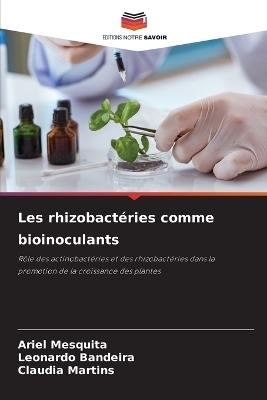 Les rhizobactéries comme bioinoculants
