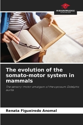 The evolution of the somato-motor system in mammals - Renata Figueiredo Anomal