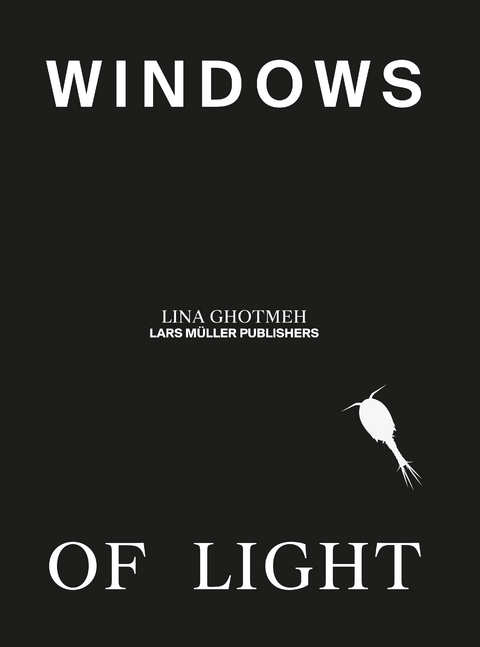 Windows of Light - Lina Ghotmeh