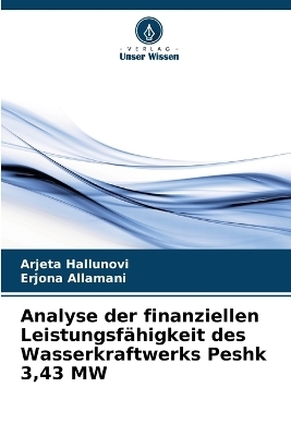 Analyse der finanziellen Leistungsfähigkeit des Wasserkraftwerks Peshk 3,43 MW