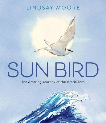 Sun Bird: The Amazing Journey Of The Arctic Tern - Lindsay Moore