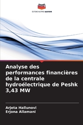 Analyse des performances financières de la centrale hydroélectrique de Peshk 3,43 MW