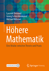 Höhere Mathematik - Laurent Demaret, Georg Schlüchtermann, Michael Wibmer