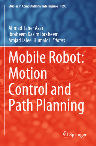 Mobile Robot: Motion Control and Path Planning