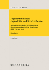 Jugendkriminalit&auml;t, Jugendhilfe und Strafverfahren - Thomas Trenczek, Annemarie Schmoll