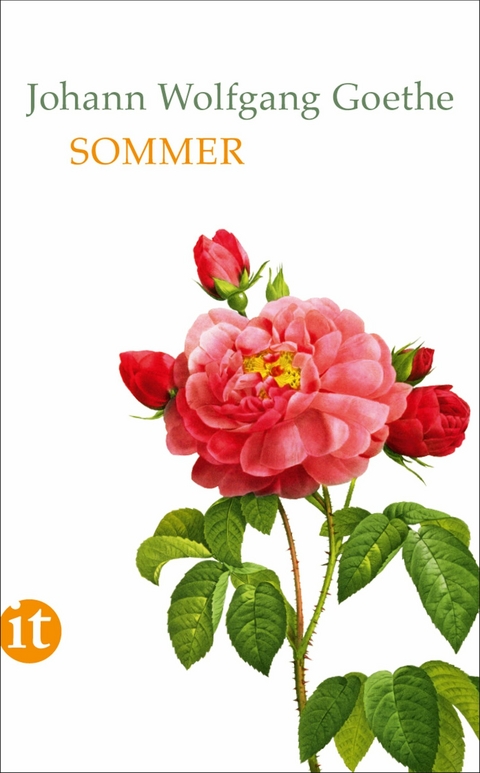 Sommer - Johann Wolfgang Goethe