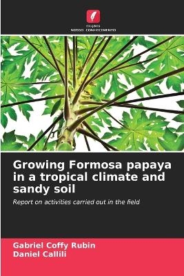 Growing Formosa papaya in a tropical climate and sandy soil - Gabriel Coffy Rubin, Daniel Callili
