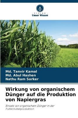 Wirkung von organischem Dünger auf die Produktion von Napiergras