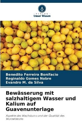 Bewässerung mit salzhaltigem Wasser und Kalium auf Guavenunterlage