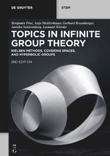 Topics in Infinite Group Theory - Benjamin Fine, Anja Moldenhauer, Gerhard Rosenberger, Annika Schürenberg, Leonard Wienke