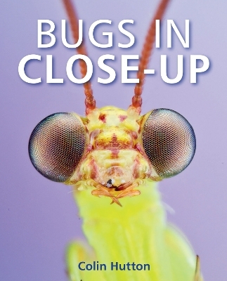 Bugs Close Up - Colin Hutton