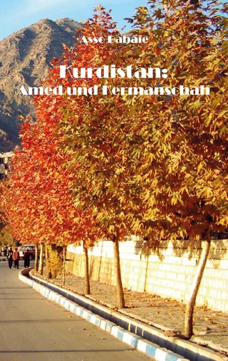 Kurdistan: Amed und Kermanschah