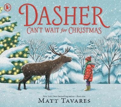 Dasher Can't Wait for Christmas - Matt Tavares