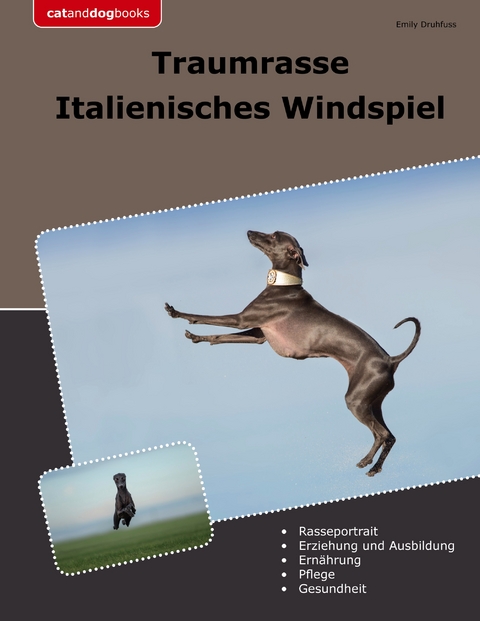 Traumrasse Italienisches Windspiel - Emily Druhfuss