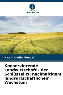 Konservierende Landwirtschaft - der Schlüssel zu nachhaltigem landwirtschaftlichem Wachstum