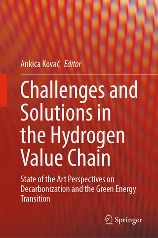 Challenges and Solutions in the Hydrogen Value Chain