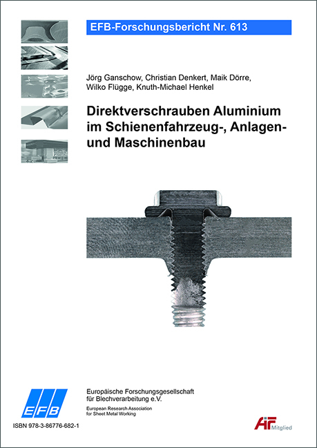 Direktverschrauben Aluminium im Schienenfahrzeug-, Anlagen- und Maschinenbau - J&ouml;rg Ganschow, Christian Denkert, Maik D&ouml;rre, Wilko Fl&uuml;gge, Knuth-Michael Henkel