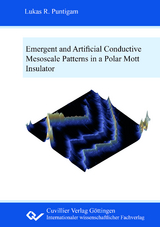 Emergent and artificial conductive mesoscale patterns in a polar Mott insulator - Lukas Raimund Puntigam