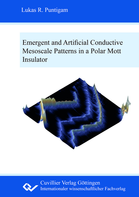 Emergent and artificial conductive mesoscale patterns in a polar Mott insulator - Lukas Raimund Puntigam
