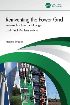 Reinventing the Power Grid - Nesimi Ertugrul