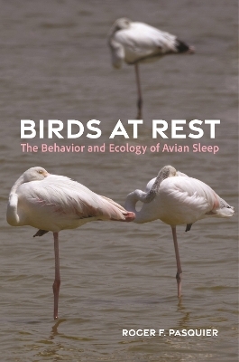 Birds at Rest - Roger Pasquier