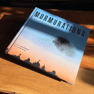 Murmurations - James Crombie