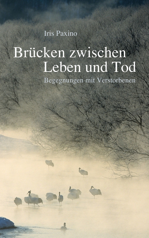 Br&uuml;cken zwischen Leben und Tod - Iris Paxino