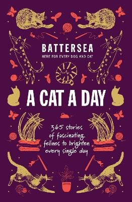 Battersea Dogs and Cats Home - A Cat a Day
