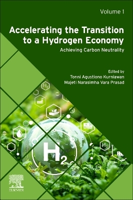 Accelerating the Transition to a Hydrogen Economy - 