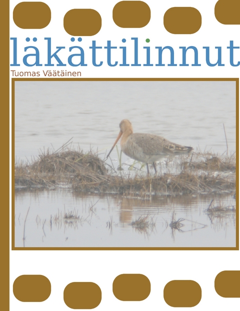 l&auml;k&auml;ttilinnut - Tuomas V&auml;&auml;t&auml;inen