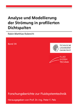 Analyse und Modellierung der Str&ouml;mung in profilierten Dichtspalten - Robin Matthias Robrecht